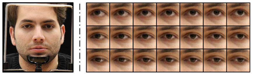 Dataset image