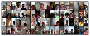 Dataset image