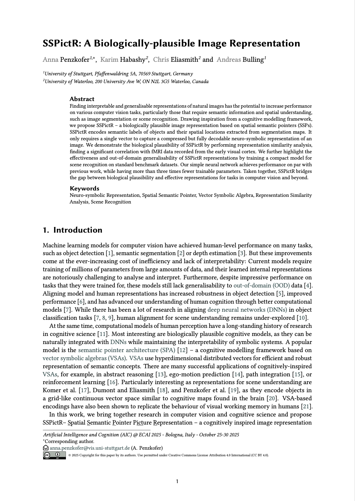 SSPictR: A Biologically-plausible Image Representation